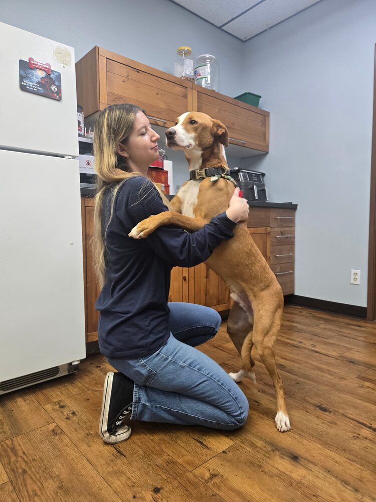 Haley greeting a dog during a training session indoors
