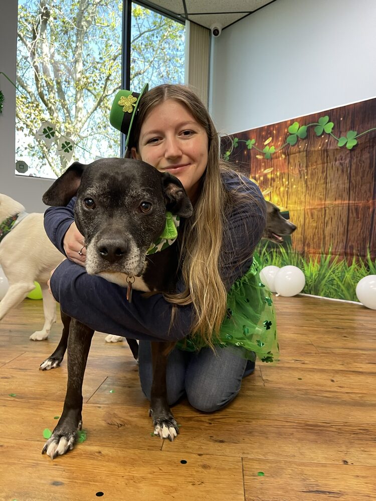 Haley hugging a dog during a St. Patrick's Day event